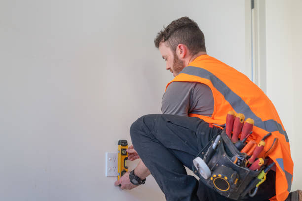 Best Local Electrician Companies  in Meadowbrook, AL